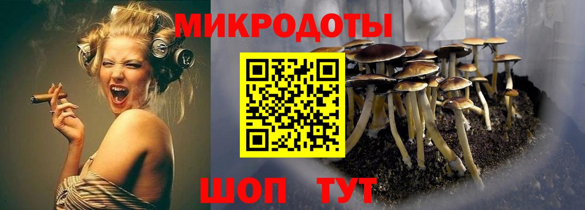 Псилоцибиновые грибы Magic Shrooms Минеральные Воды