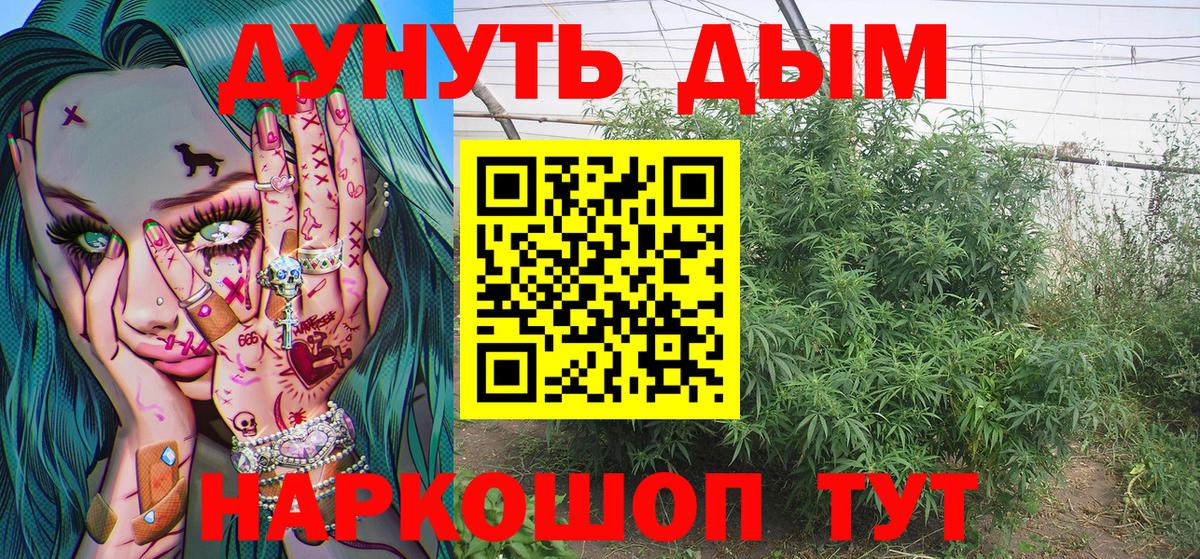 Каннабис ГИДРОПОН  Канабис Bruce Banner  Вход с VPN  Минеральные Воды  Каннабис White Widow 